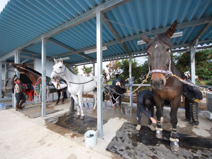 Stable Toki/陶器厩舎：千葉県富里市の「競技人馬養成」施設（関東）