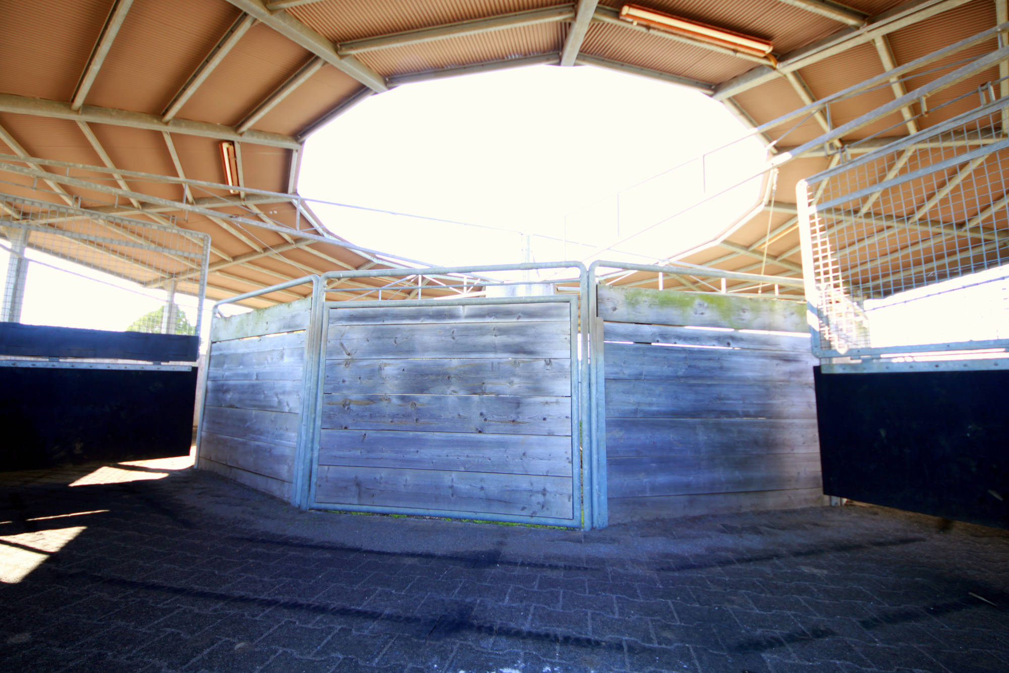 Stable Toki/陶器厩舎：千葉県富里市の「競技人馬養成」施設（関東）
